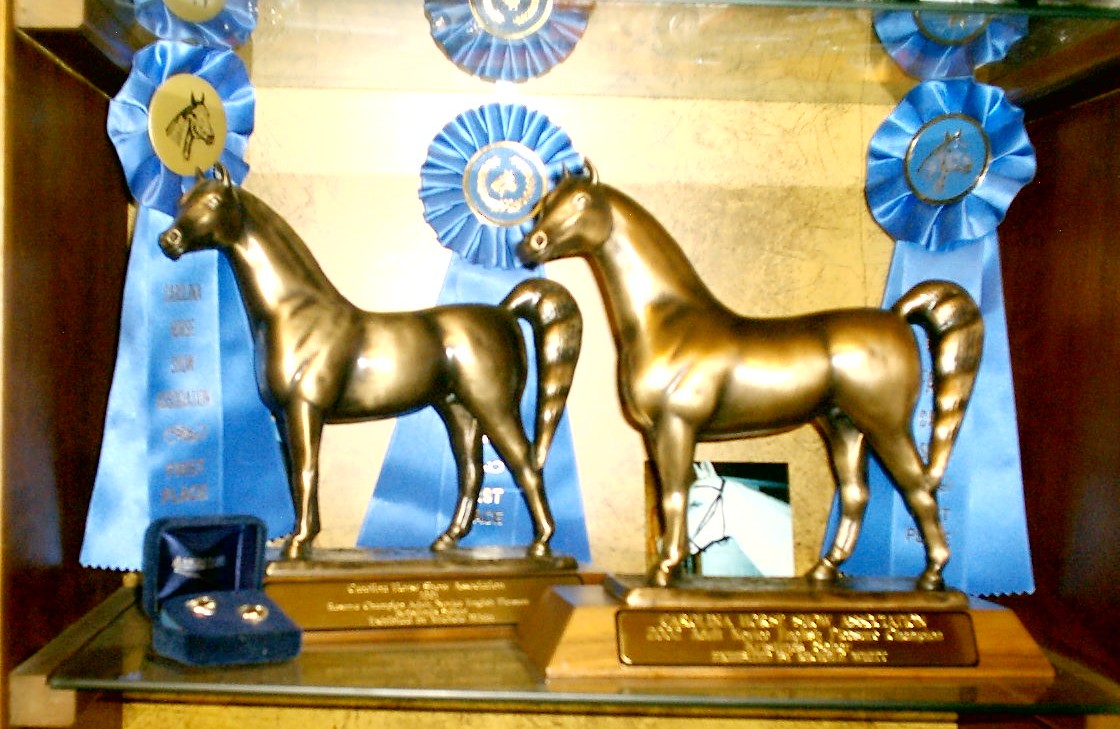 awards20012002.jpg