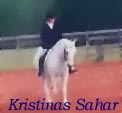 saharshow02.jpg